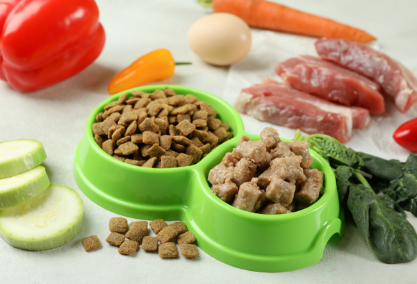 Best Dog Food Choices in Kolkata: Supporting Digestion, Allergies, and Joint Health Naturally
