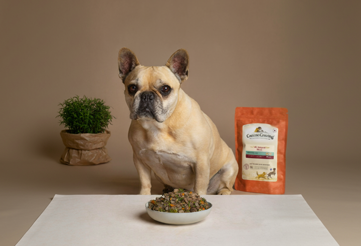 Top High-Protein Dog Foods in Mumbai