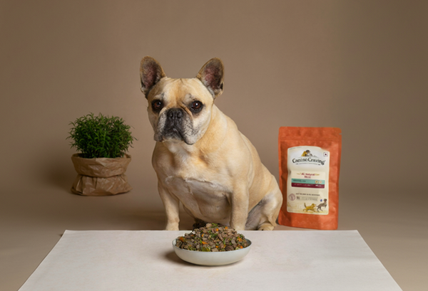 Top High-Protein Dog Foods in Mumbai : Top Picks for Strong and Healthy Dogs