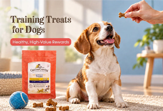Training Treats for Dogs