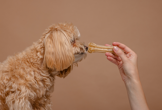 Calcium Supplements for Dogs to Keep Their Bones Strong