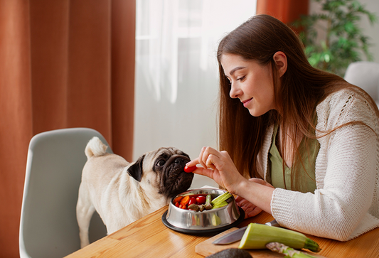 Top 10 Human Foods Dogs Can Eat