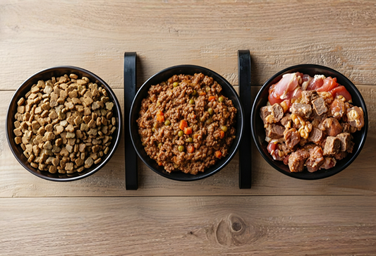 Dog Feeding Guide: Wet vs Dry Food, Raw Diets, and Nutritional Tips