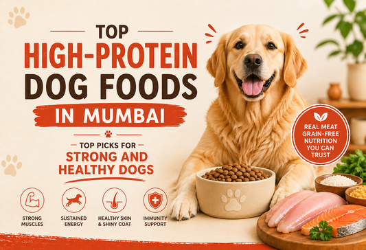 Top High-Protein Dog Foods in Mumbai : Top Picks for Strong and Healthy Dogs