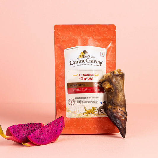 Canine Craving Dehydrated Buffalo Trotter
