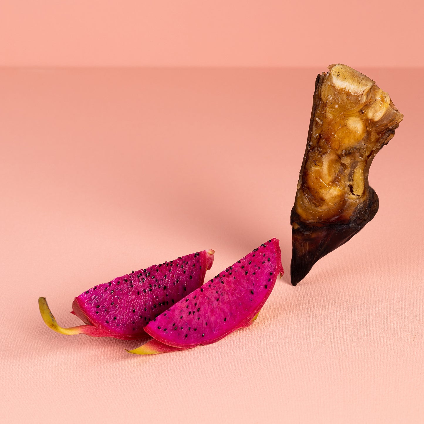 Canine Craving Dehydrated Buffalo Trotter