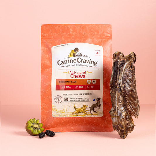 Canine Craving Dehydrated Duck Cartilage - 1 pcs