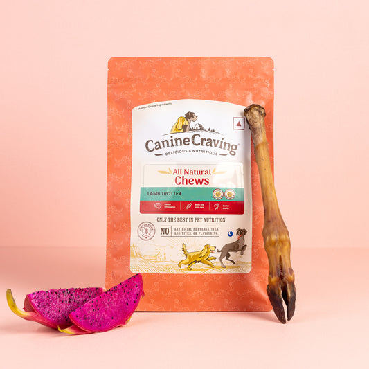 Canine Craving Dehydrated Lamb Trotter - 1 pcs
