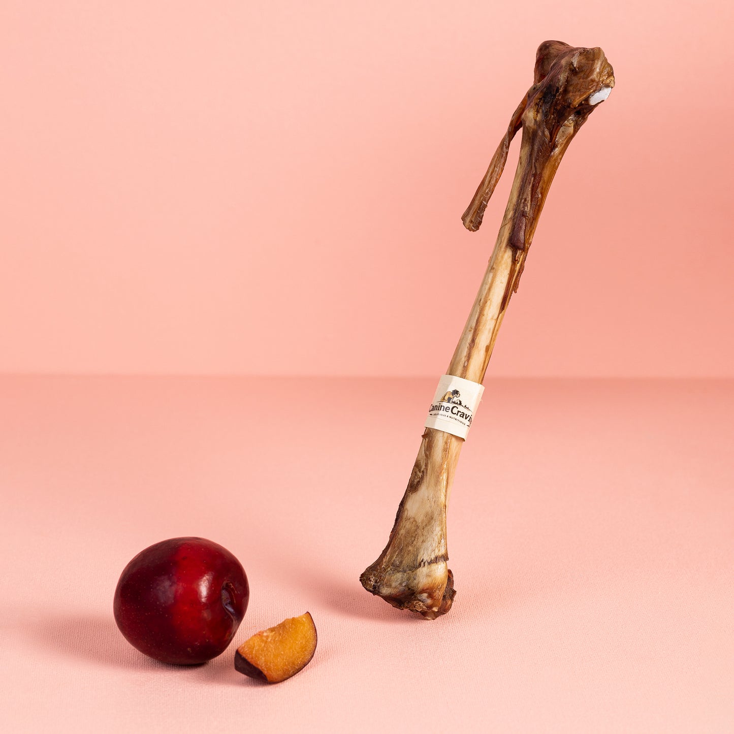 Canine Craving Dehydrated Meatless Lamb Bone - 1 pc