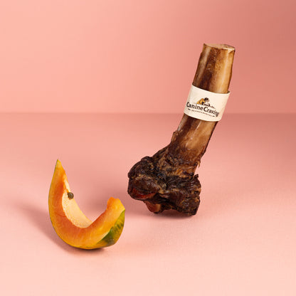 Canine Craving Dehydrated Meaty Buffalo Bone - 1 pcs