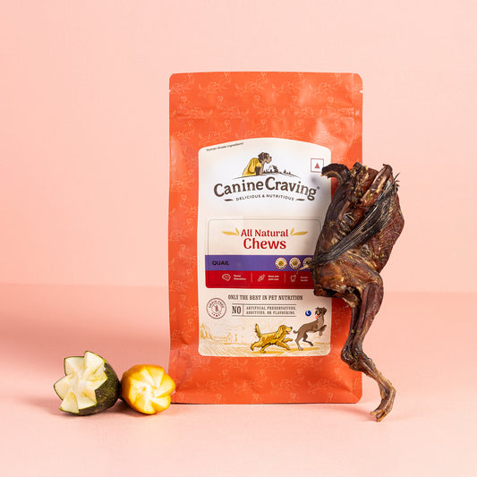 Canine Craving Dehydrated Quail - 1 pcs