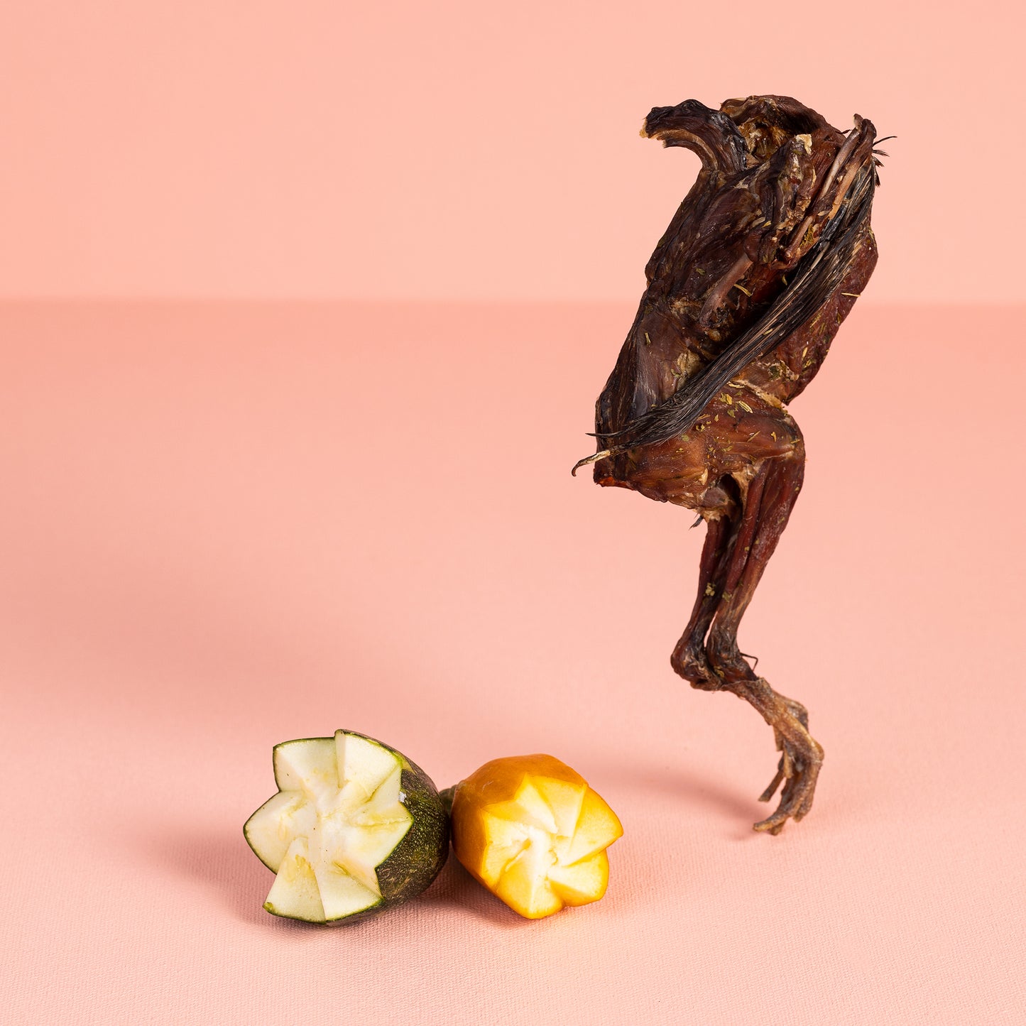 Canine Craving Dehydrated Quail - 1 pcs