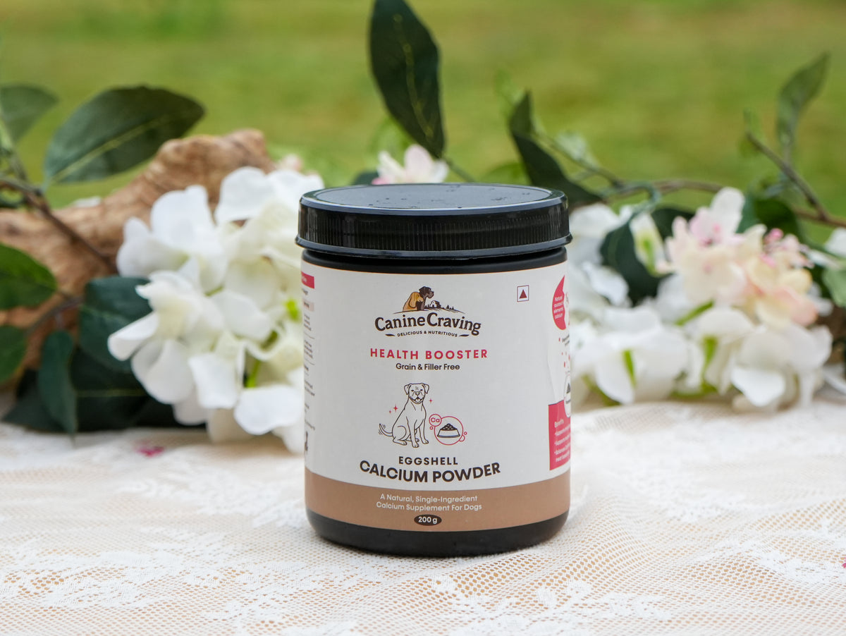 Eggshell Calcium Powder dog supplement powder close-up with wooden scoop