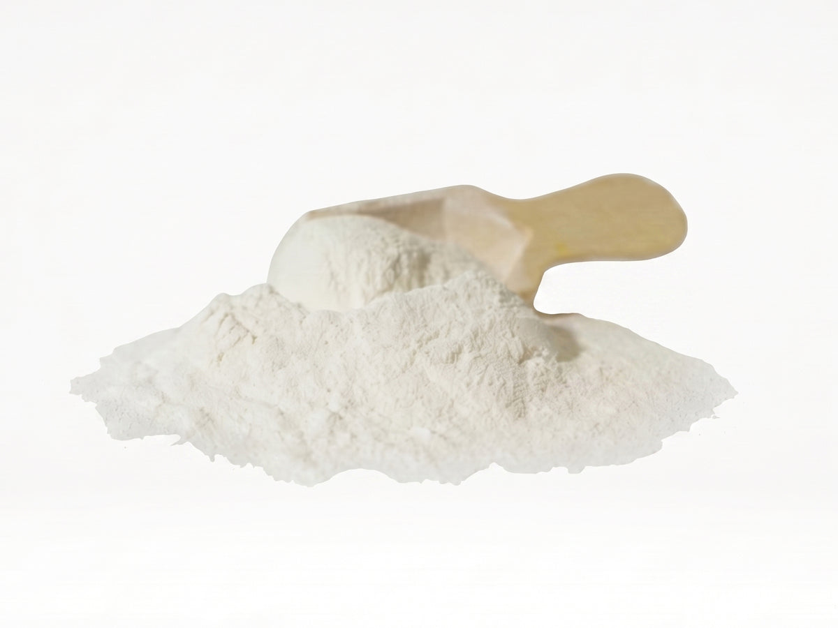 Eggshell Calcium Powder dog supplement powder close-up with wooden scoop