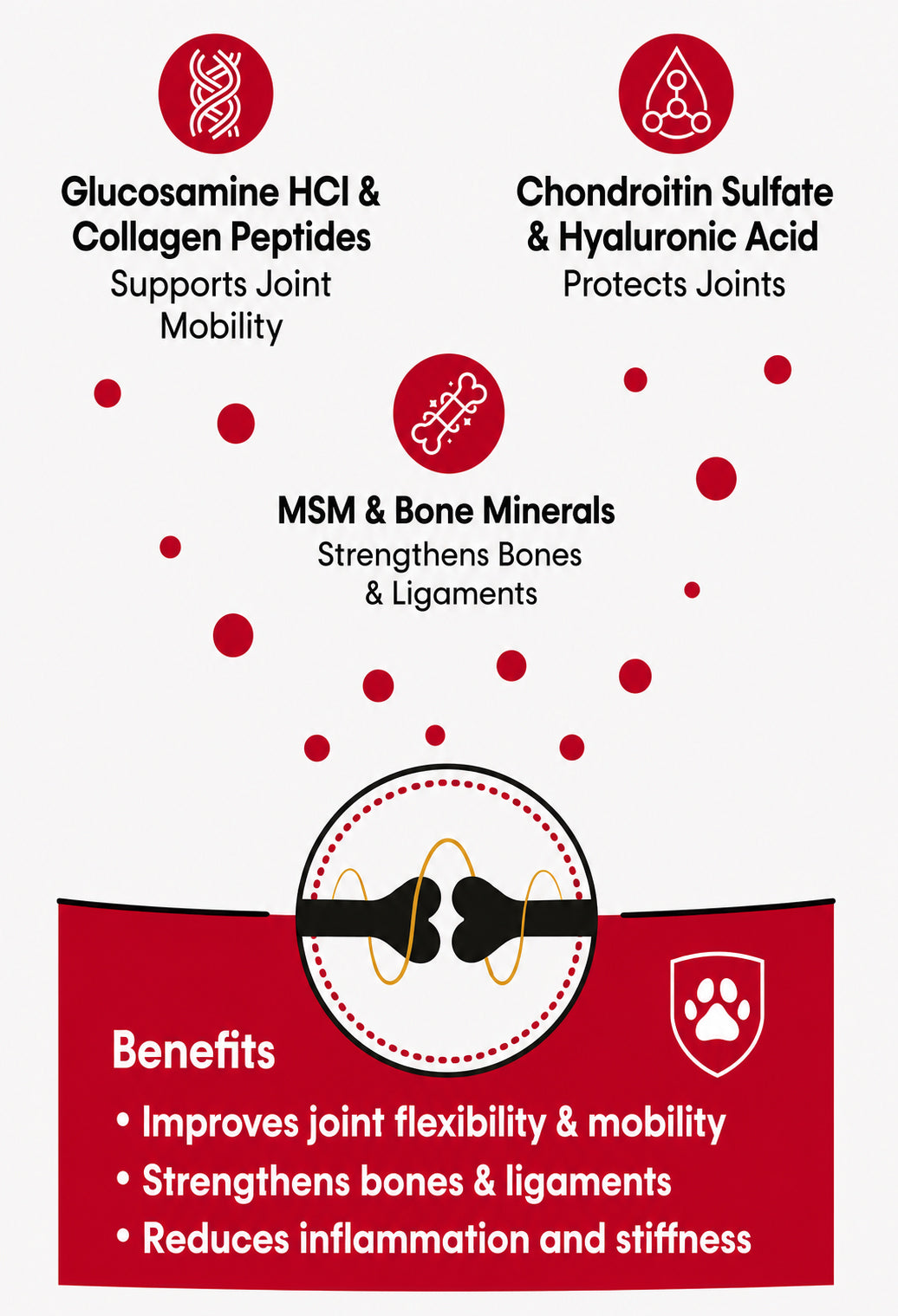 Holistic Bone & Joint Care dog supplement key benefits infographic