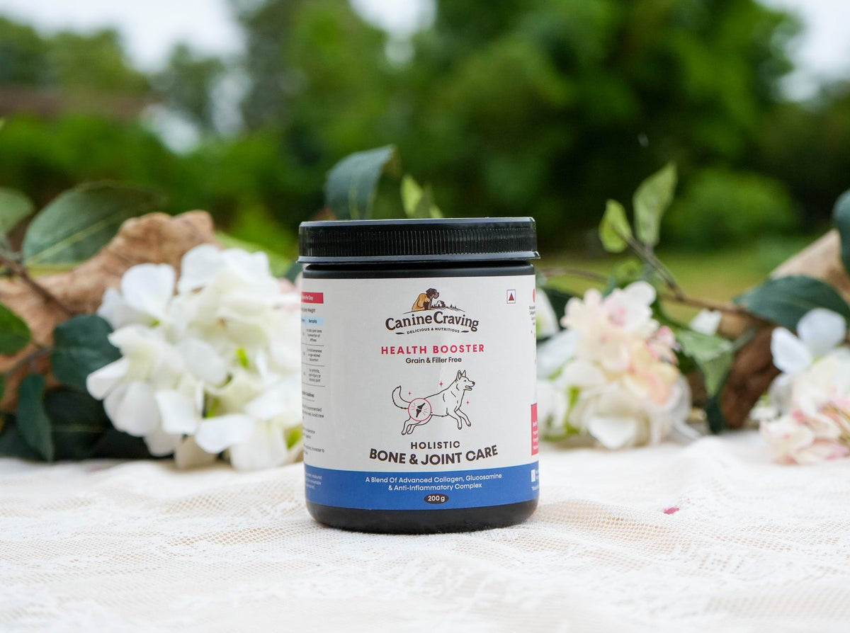 Canine Craving Holistic Bone & Joint Care dog supplement jar, 200 g, outdoor lifestyle shot