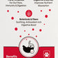 Holistic Gut & Microbiome Care dog supplement key benefits infographic