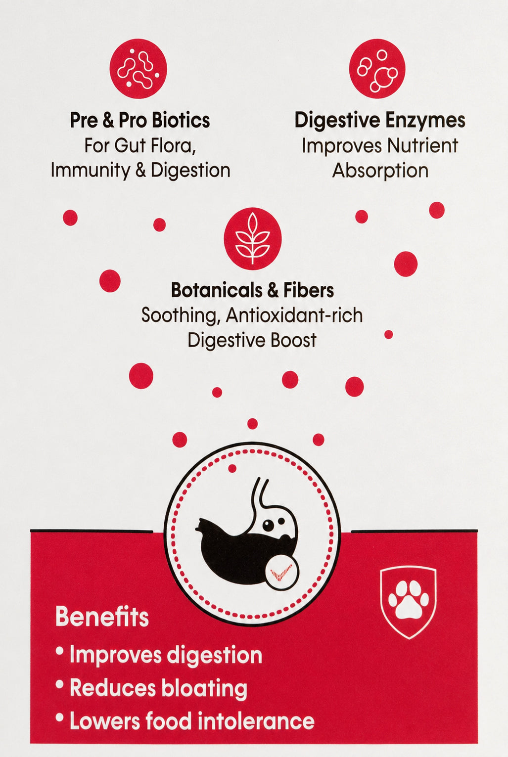 Holistic Gut & Microbiome Care dog supplement key benefits infographic
