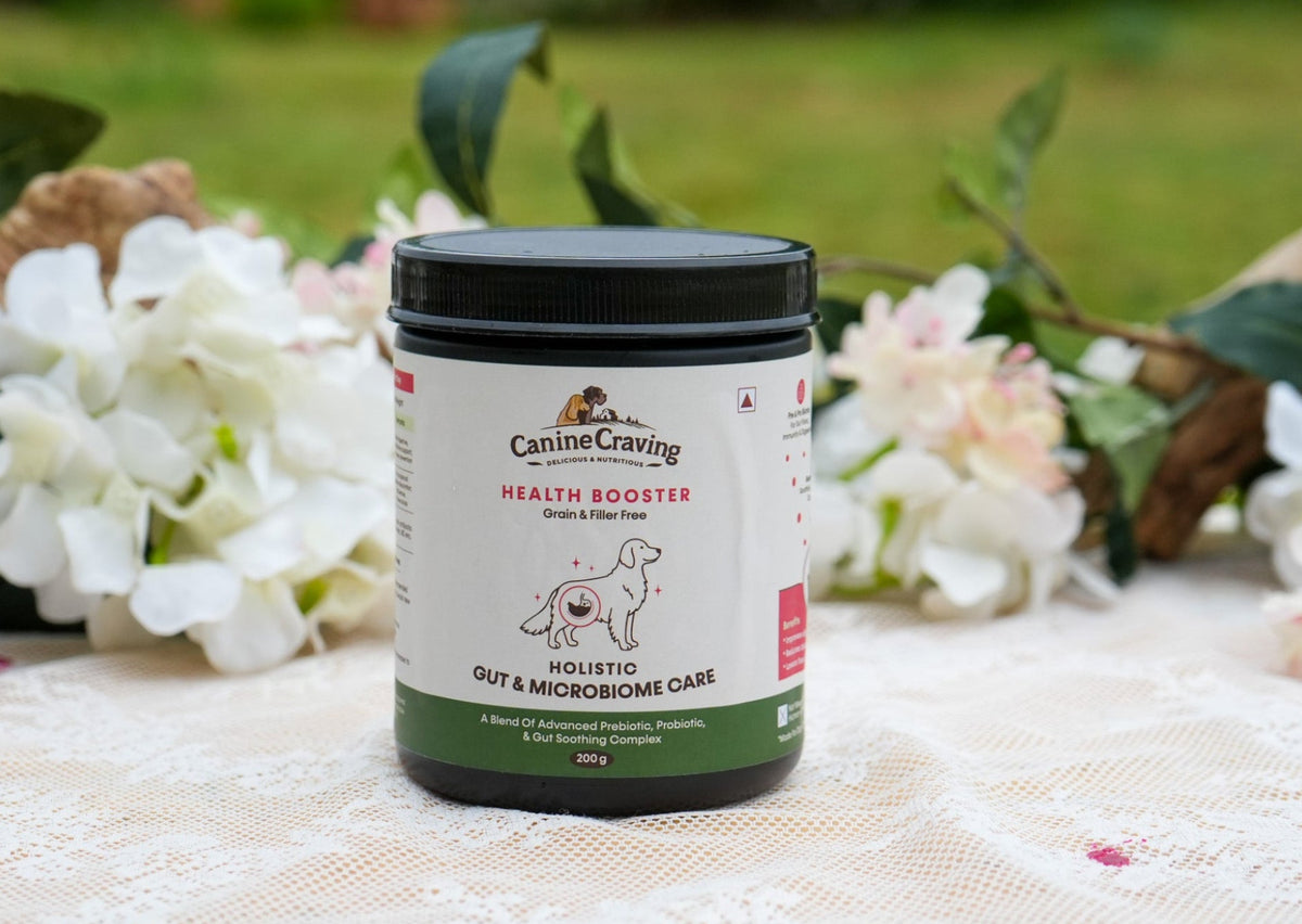 Canine Craving Holistic Gut & Microbiome Care dog supplement jar, 200 g, outdoor lifestyle shot