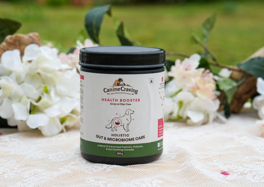 Canine Craving Holistic Gut & Microbiome Care dog supplement jar, 200 g, outdoor lifestyle shot