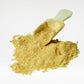 Holistic Gut & Microbiome Care dog supplement powder close-up with wooden scoop