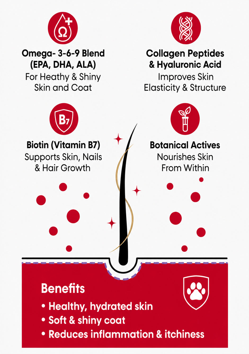 Holistic Skin & Coat Care dog supplement key benefits infographic