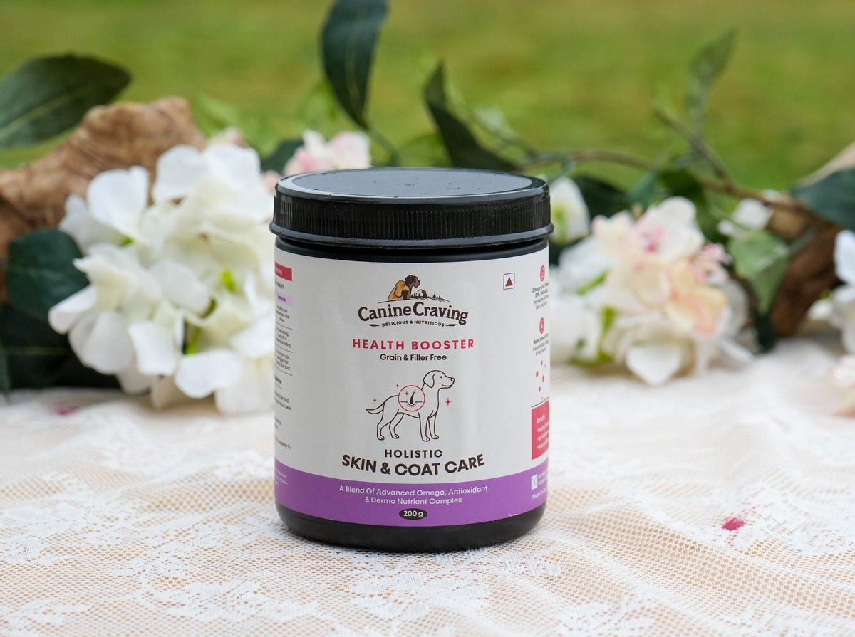 Canine Craving Holistic Skin & Coat Care dog supplement jar, 200 g, outdoor lifestyle shot