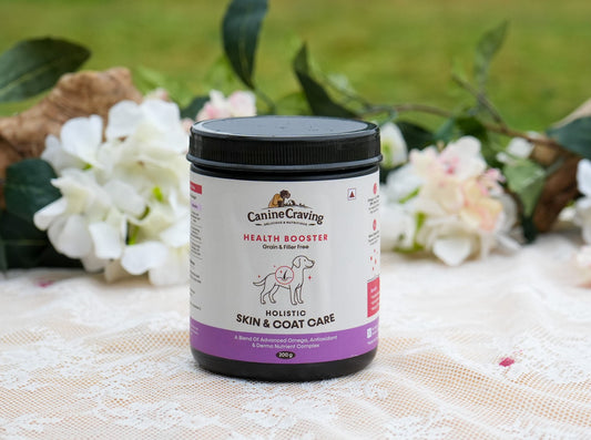Canine Craving Holistic Skin & Coat Care dog supplement jar, 200 g, outdoor lifestyle shot