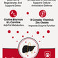 Holistic Liver Care dog supplement key benefits infographic