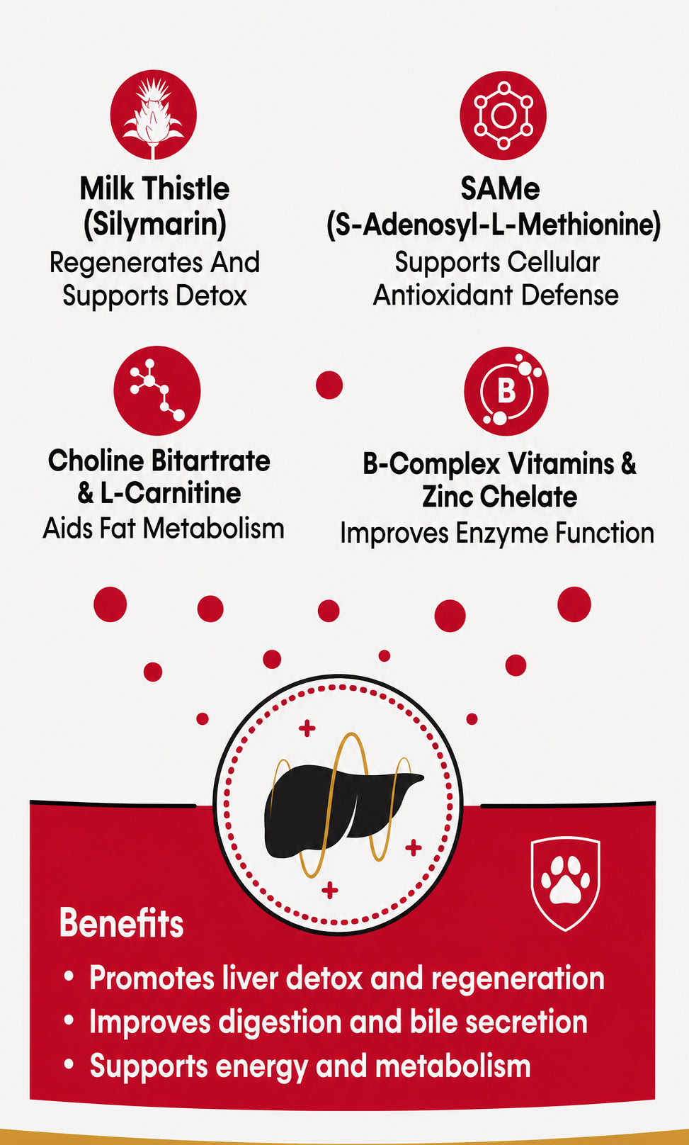 Holistic Liver Care dog supplement key benefits infographic