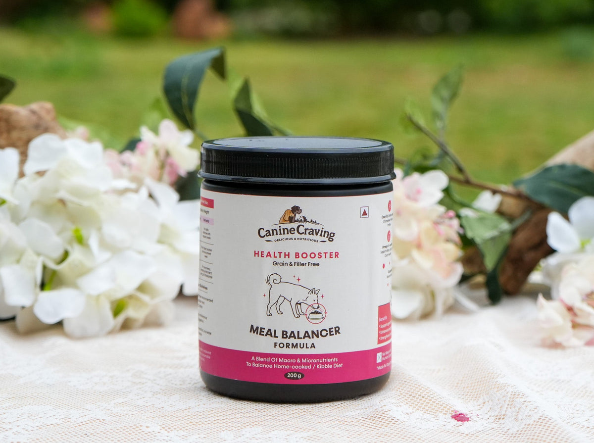 Canine Craving Meal Balancer Formula dog supplement jar, 200 g, outdoor lifestyle shot